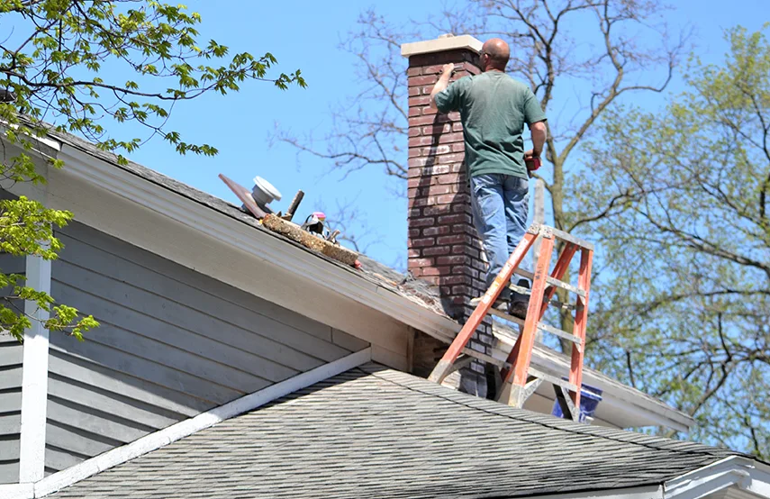 Chimney & Fireplace Inspections Services in Lincoln Park, MI